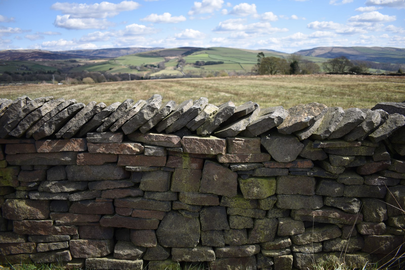 The current image has no alternative text. The file name is: featured-image-90